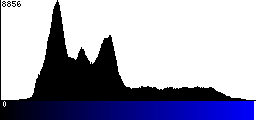 Blue Histogram