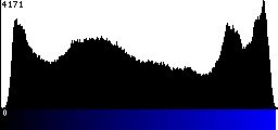 Blue Histogram