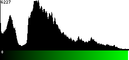 Green Histogram