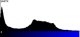 Blue Histogram