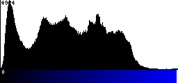 Blue Histogram