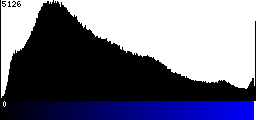 Blue Histogram
