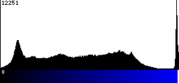 Blue Histogram