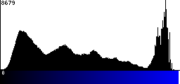 Blue Histogram