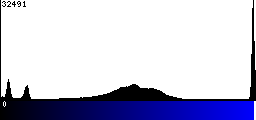 Blue Histogram