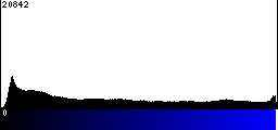 Blue Histogram