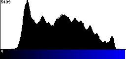 Blue Histogram