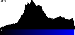 Blue Histogram