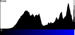 Blue Histogram