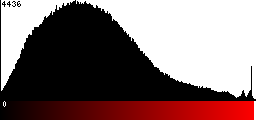 Red Histogram
