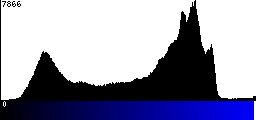 Blue Histogram