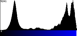 Blue Histogram
