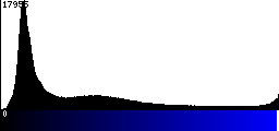 Blue Histogram