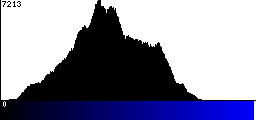 Blue Histogram