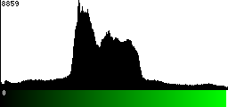 Green Histogram