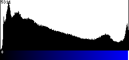 Blue Histogram