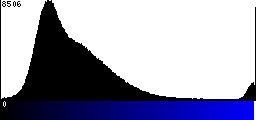 Blue Histogram