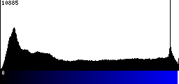 Blue Histogram