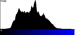 Blue Histogram