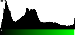 Green Histogram