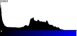 Blue Histogram
