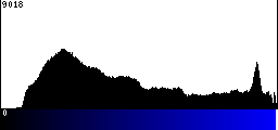 Blue Histogram