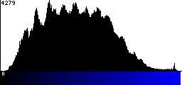 Blue Histogram