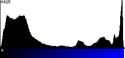 Blue Histogram