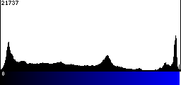Blue Histogram