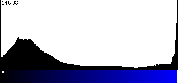 Blue Histogram