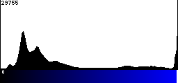 Blue Histogram