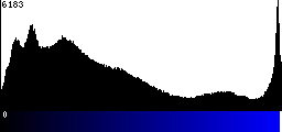 Blue Histogram