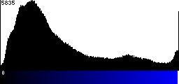 Blue Histogram