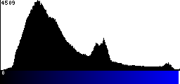 Blue Histogram