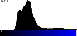 Blue Histogram