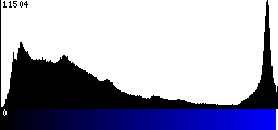 Blue Histogram