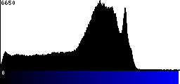 Blue Histogram