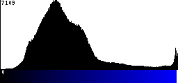 Blue Histogram