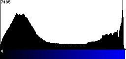 Blue Histogram