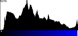 Blue Histogram