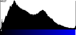Blue Histogram