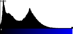 Blue Histogram