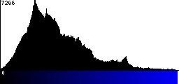 Blue Histogram