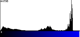 Blue Histogram