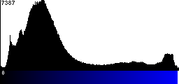 Blue Histogram