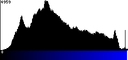 Blue Histogram