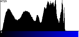 Blue Histogram