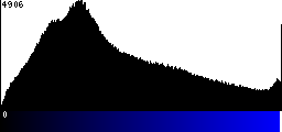 Blue Histogram