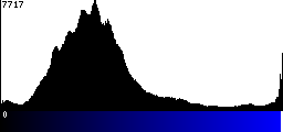 Blue Histogram