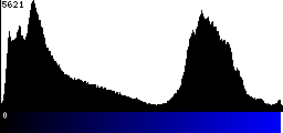 Blue Histogram